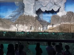 -成都浩海立方海洋公园