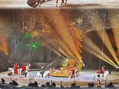 -广州长隆国际大马戏