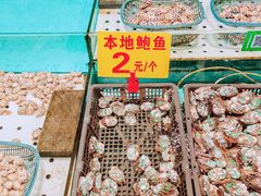-渔人金景(湛江·渔人码头店)