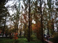 -国家植物园南园