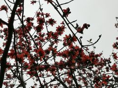-晓港公园