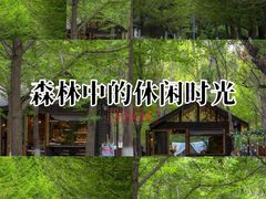 -长白岛森林公园