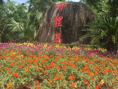 -野狸岛