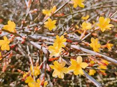 -碓臼峪自然风景区