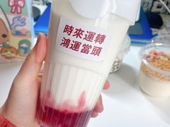 -Tim炒酸奶