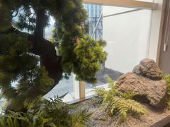 -苏淮景·苏闽融创菜·海鲜(原空港井河轩店)