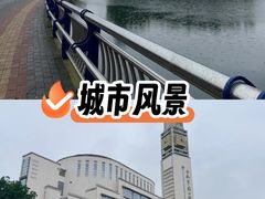 -合肥市图书馆