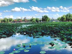 -长春市南湖公园