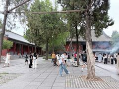 -洛阳白马寺