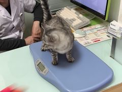 -宠福鑫康馨动物医院·骨科·眼科