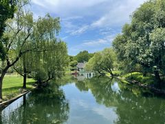 -上海共青森林公园