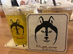 -TrueLove @ Neverland (Husky Cafe)