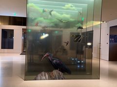 -城际上海虹桥机场酒店