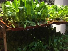 -宣威山野人家·云南菜·菌火锅(金碧店)