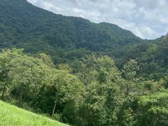 -龙岩森林水乡景区