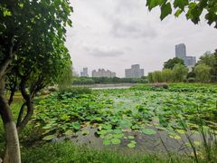 -后襄河公园