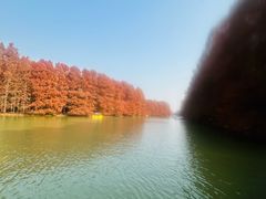 -上海海湾国家森林公园