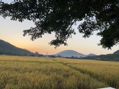 -艾米稻香小镇
