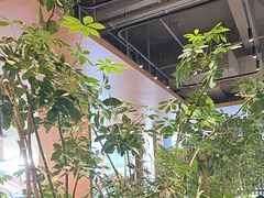-gaga(深圳福田星河COCO Park店)