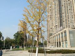 -海景壹号大酒店(滨湖店)