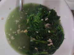 -东鸽皇(奥园·中环广场店)