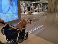 -首开·龙湖成都西宸天街