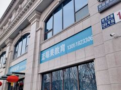 -蓝莓果幼儿园(通州梨园店)