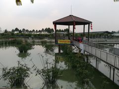 -成都美盈都市现代农业示范园