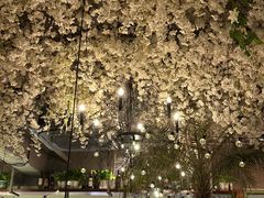 -岛风·台食小馆 ISLAND BISTRO(烟台山店)