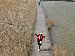 -盐城丹顶鹤湿地生态旅游区
