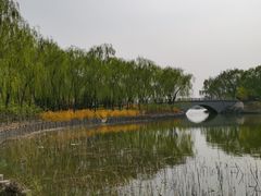 -大兴滨河森林公园