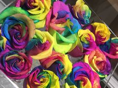 -ROSEONLY诺誓(磐基中心店)