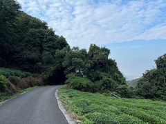 -午潮山国家森林公园