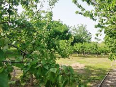 -西安浐灞国家湿地公园