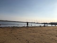 -碧海金沙