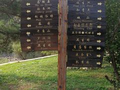 -金龙寺国家森林公园
