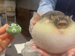 -肆月河豚·新淮扬(金融街店)