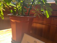 -管中炸鸡(建国道店)