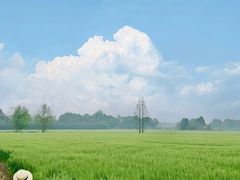 -中国天府农业博览园