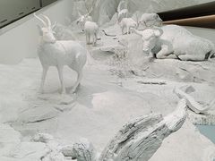 -中国湿地博物馆
