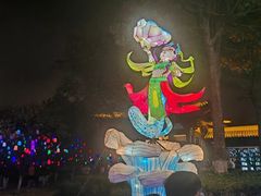 -洋湖国家湿地公园
