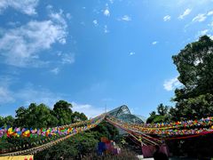 -南山植物园