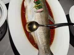 -醉庐·新上海菜(南京西路店)