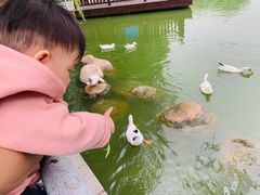 -莲湖公园