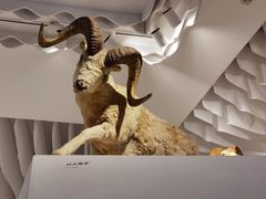 -重庆自然博物馆(新馆)