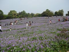 -保利石象湖景区
