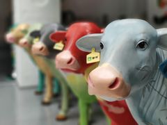 -蒙牛工业旅游景区