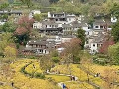 -塔川景区
