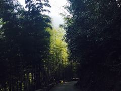 -白云源风景区