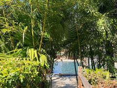 -腾冲洞山温泉村